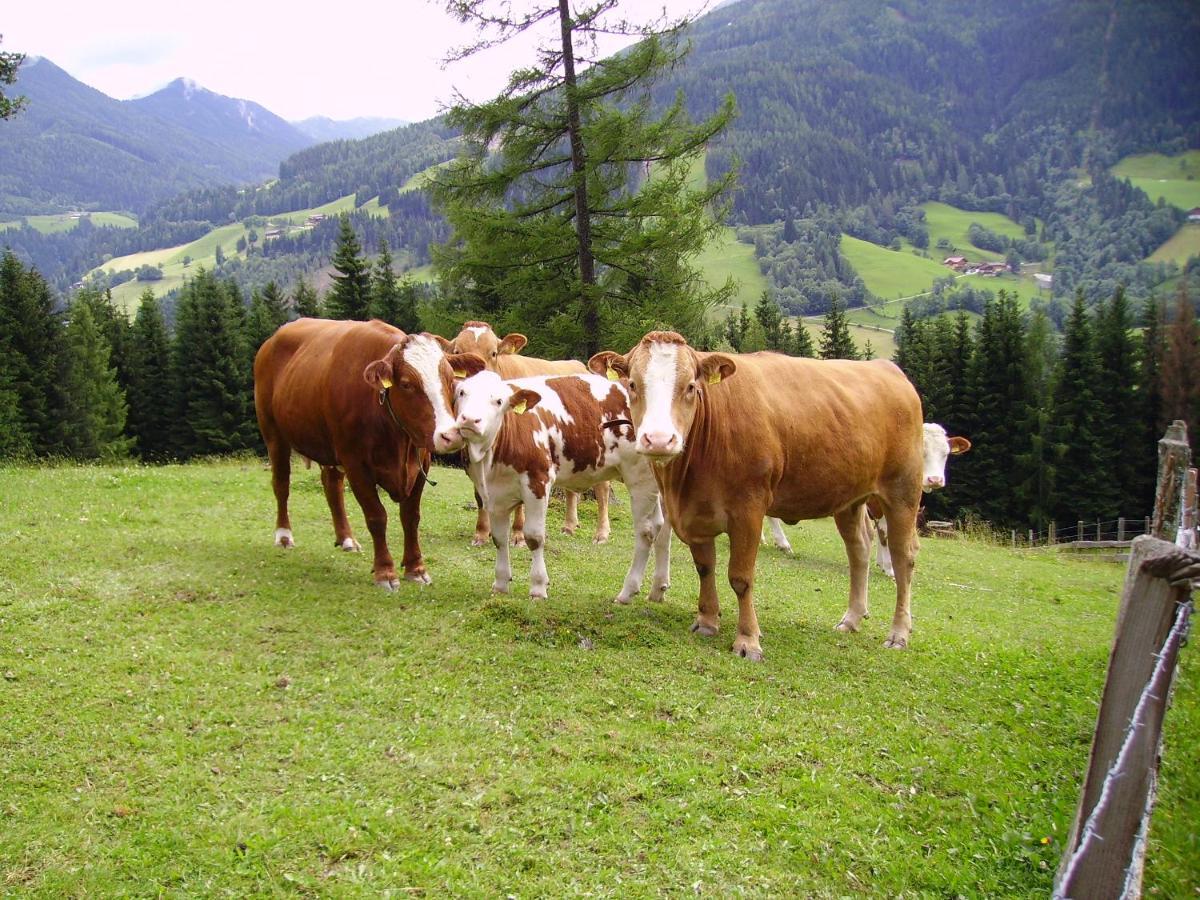 Mittergruberhof Bed and Breakfast Schladming Εξωτερικό φωτογραφία